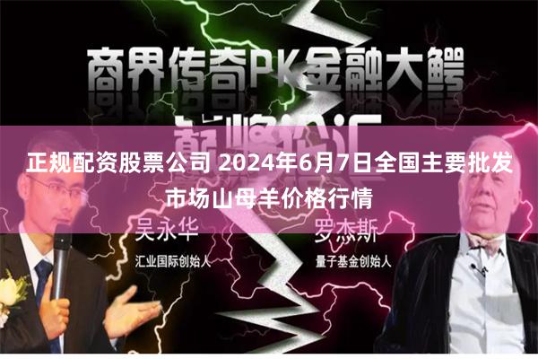 正规配资股票公司 2024年6月7日全国主要批发市场山母羊价格行情