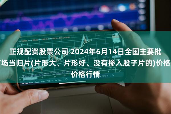 正规配资股票公司 2024年6月14日全国主要批发市场当归片(片形大、片形好、没有掺入股子片的)价格行情