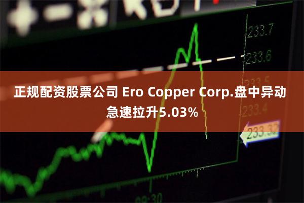 正规配资股票公司 Ero Copper Corp.盘中异动 急速拉升5.03%