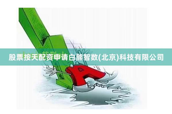 股票按天配资申请白熊智数(北京)科技有限公司